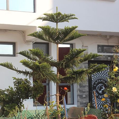فندق Lafamilia Surf إمسوان المظهر الخارجي الصورة